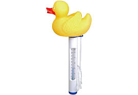 Duck Thermometer
